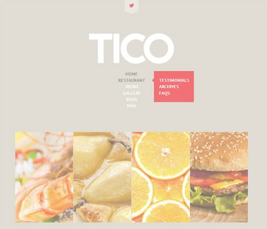 Tico-by-TemplateMonster