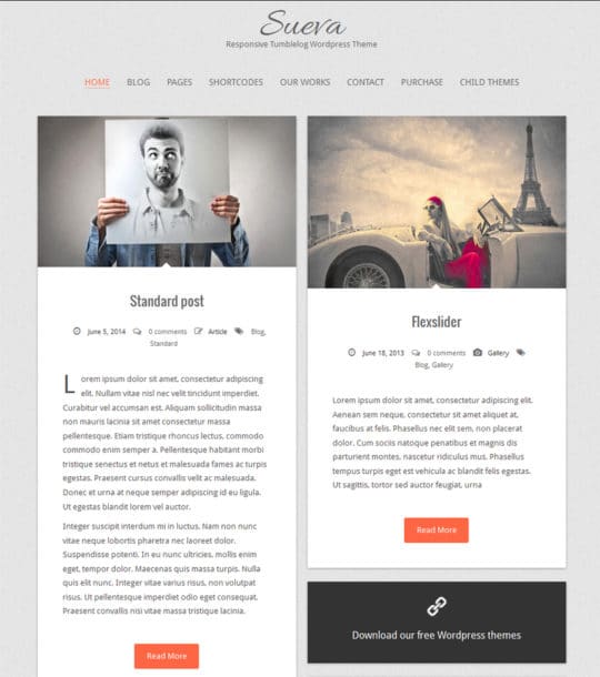 Sueva-Responsive-WordPress-Theme