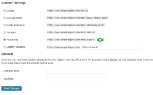 permalink-optimum-setup