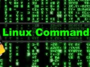 Linux-Basic-Commands