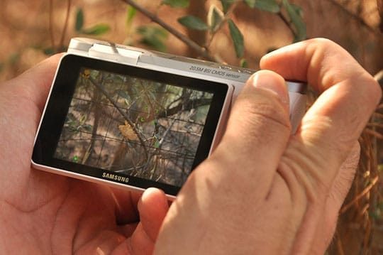 digital-camera-samsung-screen-photography