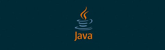 Java Programming Language