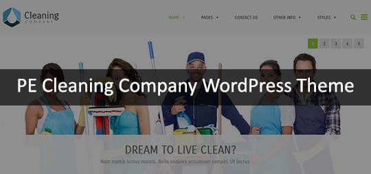 PE Cleaning Company WordPress Theme