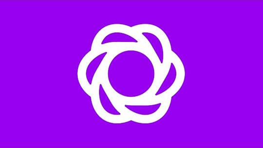 bloom-elegant-themes-wordpress-plugin