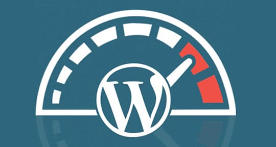 WordPress Speed SEO Optimization