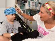 Stories-persuasion-techniques-in-social-media-marketing