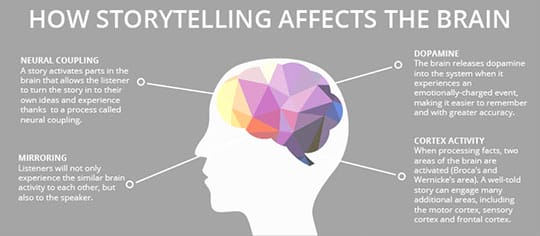 what happens to our brains when we are presented with stories.