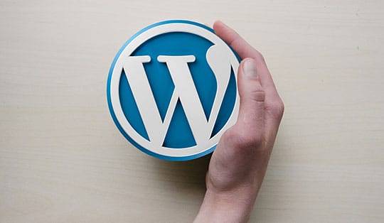 WordPress Security - WordPress-Logo-1