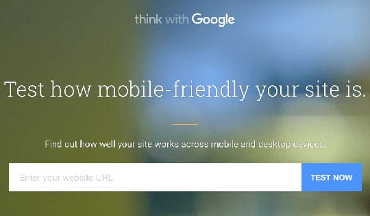 testmysite - Website Performance on Mobile