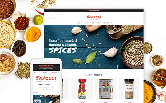 spiceli-template-templatemonster
