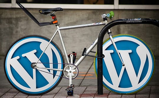 WordPress-Rocks-Build-Design-Market-Killer-Startup-Business-Website