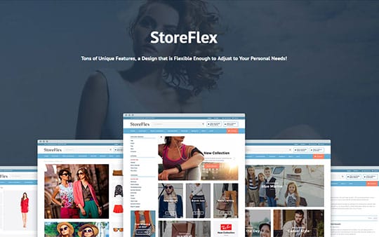 storeflex