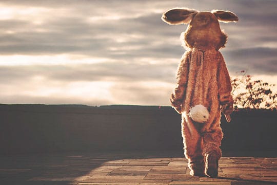 cartoon-animation-film-movie