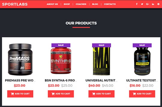 template-product-ecommerce