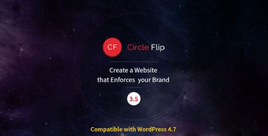 Circle-Flip-WordPress-Theme