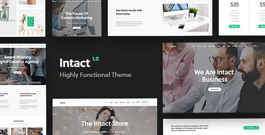 Intact-WordPress-Theme