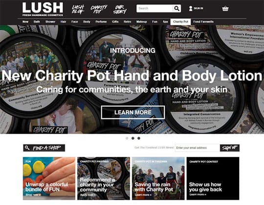 psychographics-marketing-lush-cosmetics-brand-values