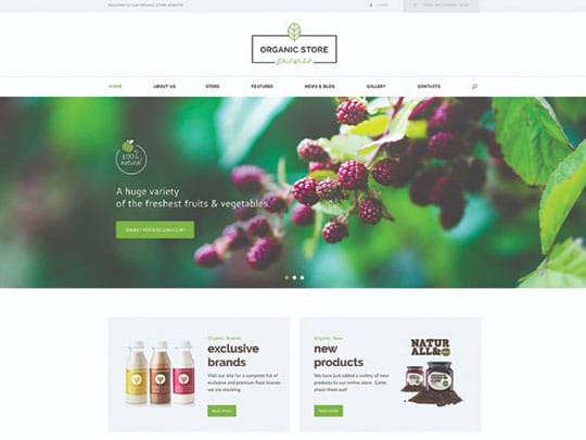 organic-beauty-store-natural-cosmetics