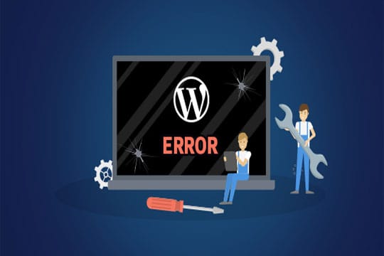 common-wordpress-errors