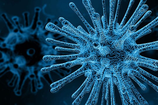 Electrically Active Microbes