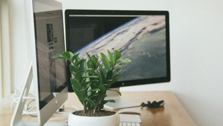 A potted plant sits on a wooden desk in front of a computer monitor displaying an image of earth from space.