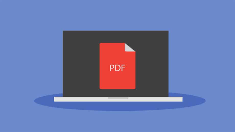 Illustration of a laptop displaying a large red PDF document icon on its screen, set against a blue background.