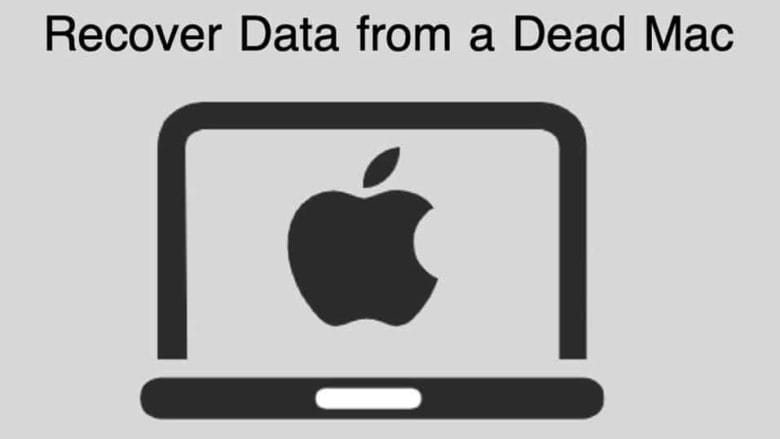 recover-data-file-from-dead-macbook