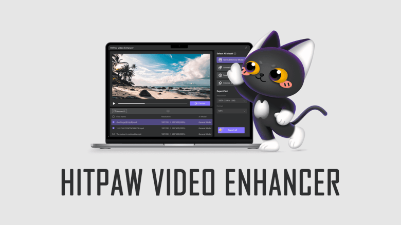 HitPaw Video Enhancer
