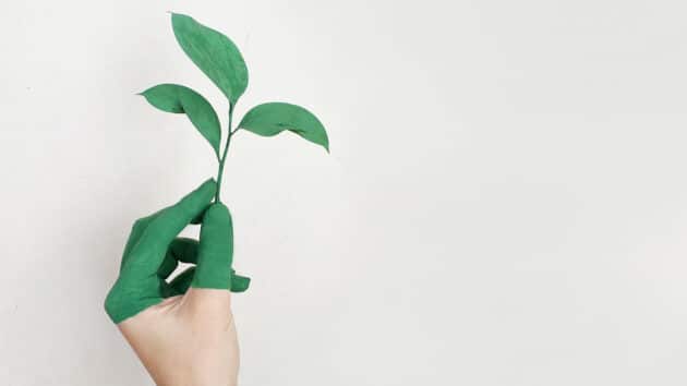 Sustainability and Decarbonization