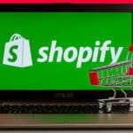 shopify-ecommerce-website