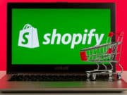 shopify-ecommerce-website