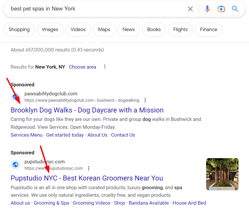 Google ads tips in Google search related to best pet spas in new york.