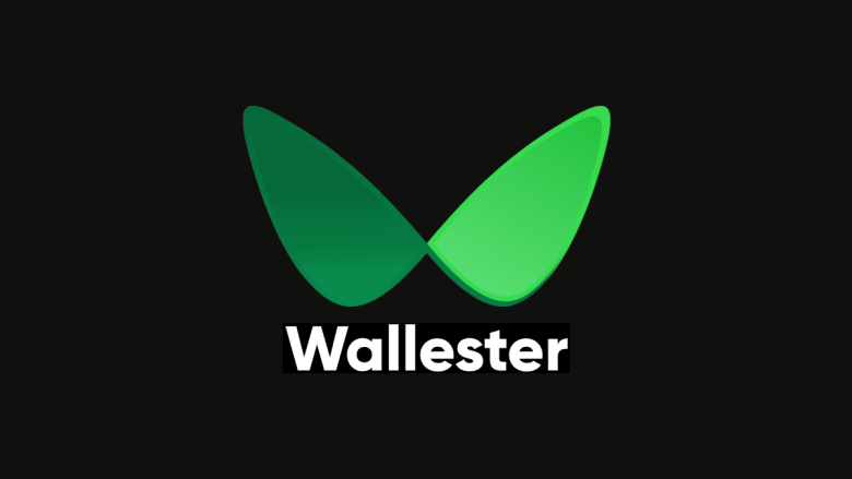 Wallester Insights: Transforming Financial Services with Innovation