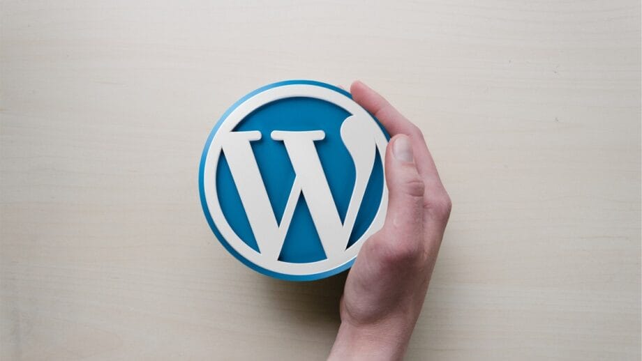 A person holding a wordpress logo on top of a wooden table.