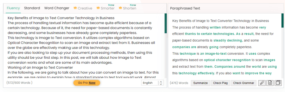 Paraphraser: A screen shot of a text editor on a computer screen.
