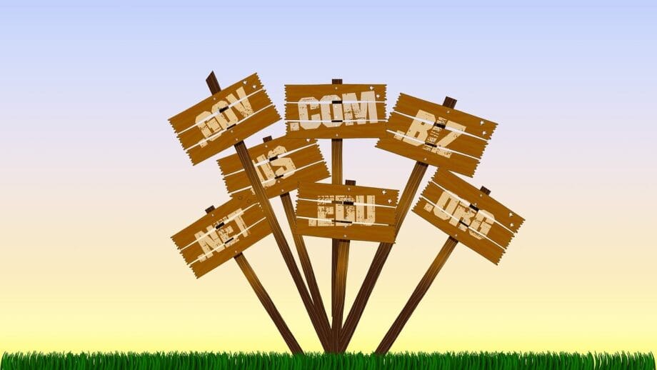 Wooden signposts with internet domain names (.com, .org, .net, .edu, .biz) are placed on grass against a gradient sky background.