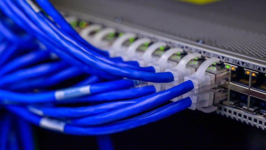 Close-up of multiple blue Ethernet cables plugged into a network switch, which is illuminated with green and yellow status lights.