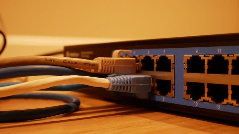 Close-up of a networking switch with multiple Ethernet cables plugged into its ports.