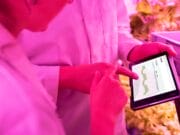 Two people in lab coats examine data on a tablet in a pink-lit indoor farm.