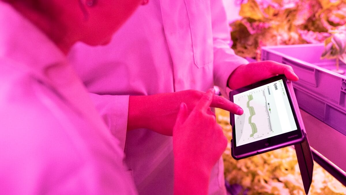 Two people in lab coats examine data on a tablet in a pink-lit indoor farm.