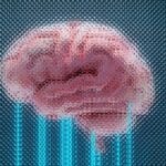 A brain displayed with glowing blue lines.