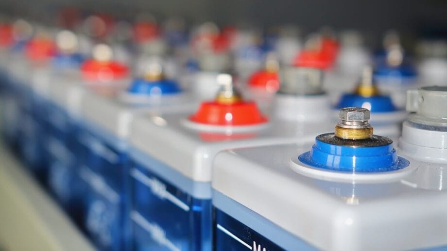 Rows of batteries with red and blue terminals.