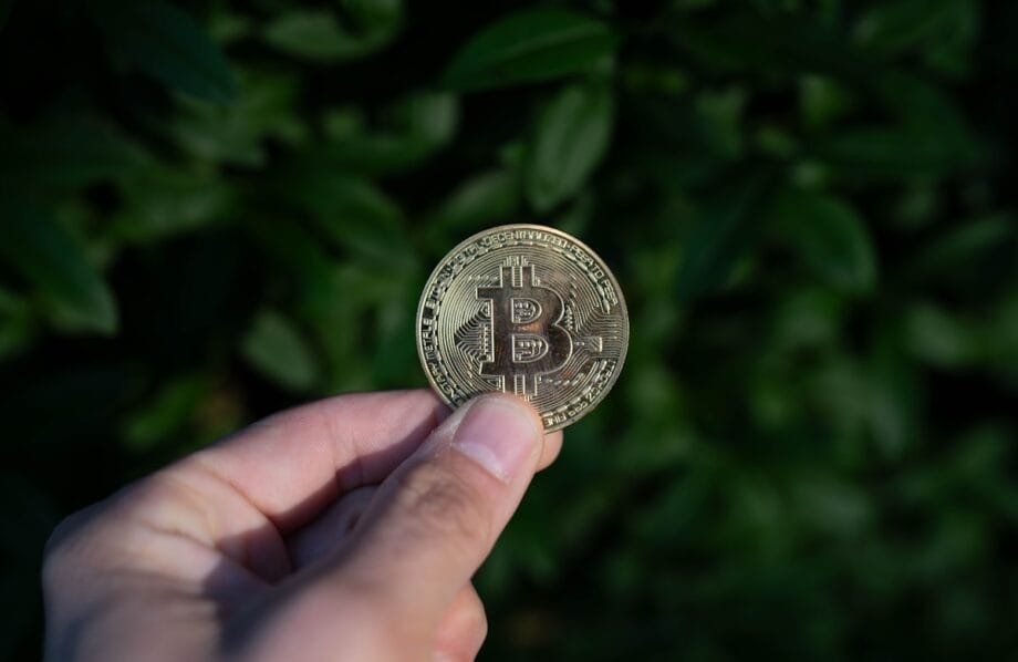 A hand holds a bitcoin coin.