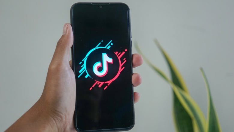 A hand holding a smartphone displaying the TikTok logo on the screen, with a plant in the background.