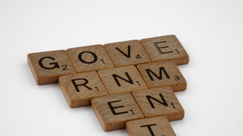 Wooden letter tiles arranged to spell the word GOVERNMENT on a white background.