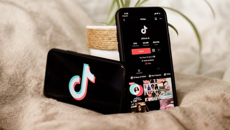 Two smartphones display the TikTok logo and TikTok app profile page, resting on a blanket next to a small potted plant.