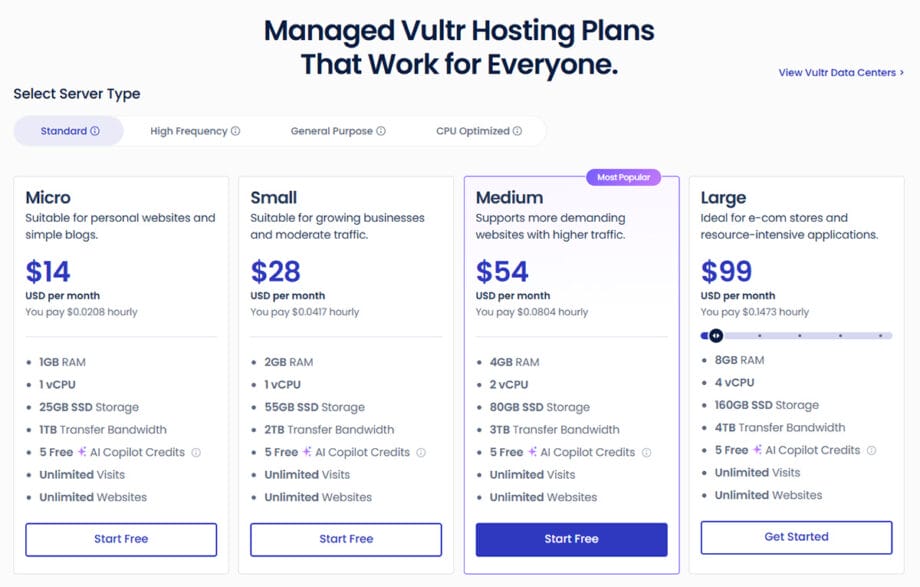 screencapture-cloudways-vultr-hosting-pricing