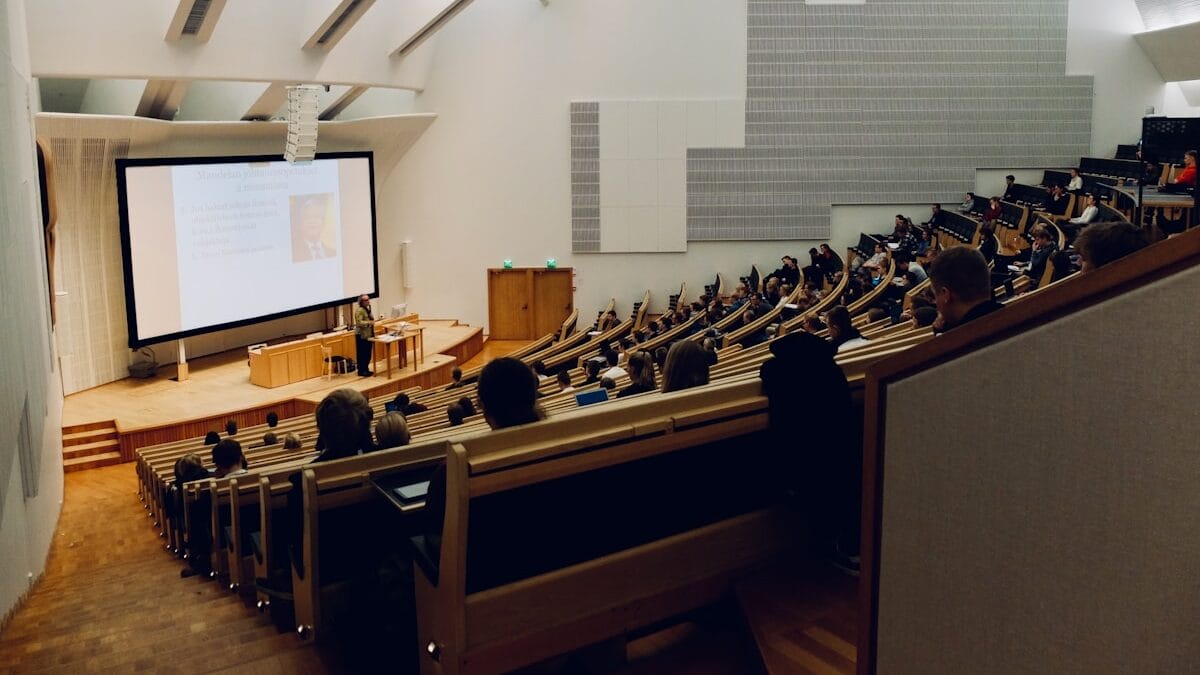 people sitting on chair in front of computer