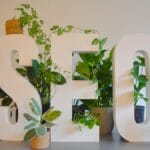 Large white letters spelling SEO are displayed on a table surrounded by various potted green plants and a small cactus.