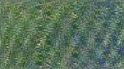 Abstract digital artwork featuring wavy, multicolored lines and shapes on a green background, creating a pattern of symmetry and distortion.